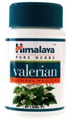 Valerian helps to relax the mind and muscles and promotes sound sleep