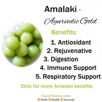 Himalaya Herbals Amalaki for vitamin C