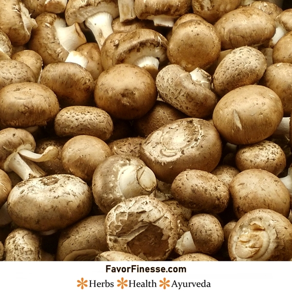 Mushrooms - benefits, nutrients, fiber, vitamins